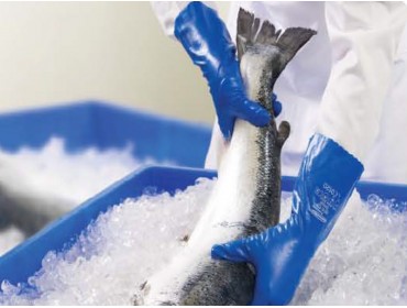 SUMMITECH PROFESSIONAL BF6 EB